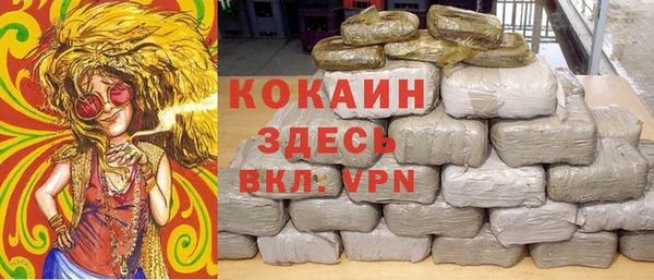 крисы Балахна