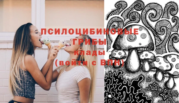 крисы Балахна