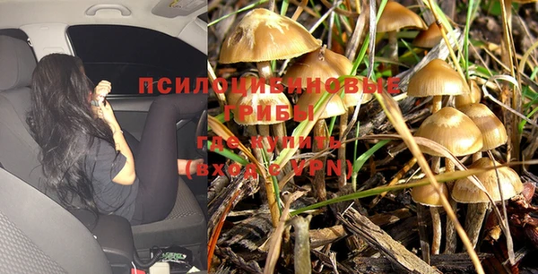 MESCALINE Бородино