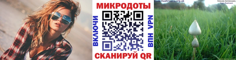купить   Красноперекопск  Галлюциногенные грибы MAGIC MUSHROOMS 